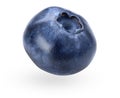 Blueberry isolated on white background. Falling or flying object. Clipping path. Macro view of billberry Royalty Free Stock Photo