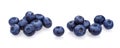 Blueberry isolated on white background. A pile of fresh blueberries, close-up, collection Royalty Free Stock Photo