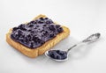 Blueberry jam Royalty Free Stock Photo