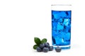 Blueberry juice Royalty Free Stock Photo