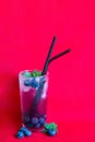 Blueberry juice with ice and mint. Cocktail. Royalty Free Stock Photo