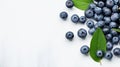 Blueberry And Leaf Imagery On White Background