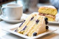 Blueberry and lemon cake with tea Royalty Free Stock Photo