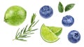 Blueberry lime rosemary hand drawn watercolor illustration isolated on white background Royalty Free Stock Photo