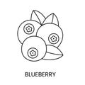 Blueberry line icon in vector, berry illustration