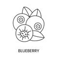 Blueberry line icon in vector, berry illustration