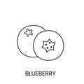 Blueberry line icon in vector, berry illustration