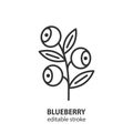 Blueberry line icon. Wild berry vector sign. Editable stroke