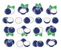 Blueberry logo. Isolated blueberry on white background