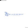 Blueberry logo. Line style