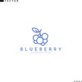 Blueberry logo template. Outline style