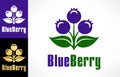 Blueberry logo vector