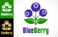 Blueberry logo vector