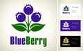 Blueberry logo