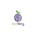 Blueberry Logo Vector Design