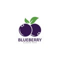 Blueberry logo vector template icon illustration