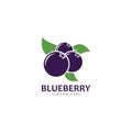 Blueberry logo vector template icon illustration