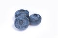 Blueberry macro