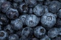 Blueberry macro background, selective focus