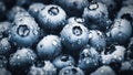 Blueberry macro texture, blueberries wet with water drops closeup