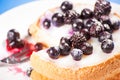 Blueberry mini cake close up