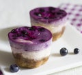 Blueberry mini cheesecakes.