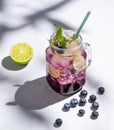 Blueberry Mojito Or Lemonade With Lime, Ice And Mint In A Glass On A Light Background With Berries, Fruit And Shadows. The Concept