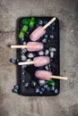 Blueberry mojito popsicles. Refreshing frozen cocktail Royalty Free Stock Photo