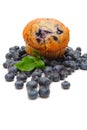 Blueberry Muffin Royalty Free Stock Photo