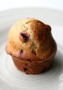 Blueberry muffin Royalty Free Stock Photo