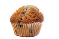 Blueberry Muffin Royalty Free Stock Photo