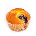 Blueberry muffin Royalty Free Stock Photo