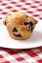 Blueberry muffin Royalty Free Stock Photo