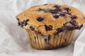 Blueberry Muffin