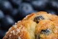 Blueberry Muffin