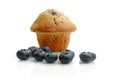 Blueberry Muffin Royalty Free Stock Photo