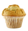 Blueberry muffin Royalty Free Stock Photo