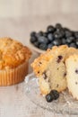 Blueberry Muffin Breakfast with Bowl of Blueberries Vertical Royalty Free Stock Photo