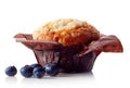 Blueberry muffin isolated on white Royalty Free Stock Photo