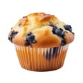 Blueberry muffin isolated on transparent background. Clipping Path.