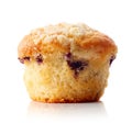 Blueberry muffin isolated on white Royalty Free Stock Photo