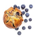 Blueberry Muffin Isolated on White Top View Royalty Free Stock Photo