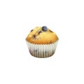 Blueberry muffin in paper cupcake holder