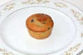 Blueberry Muffin on plate