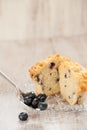 Blueberry Muffin on Plate with Spoonful of Blueberries Royalty Free Stock Photo