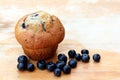 Blueberry muffin