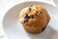 Blueberry muffin on white plate Royalty Free Stock Photo