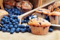 Blueberry Muffins Royalty Free Stock Photo