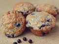 Blueberry Muffins Royalty Free Stock Photo