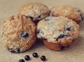 Blueberry Muffins